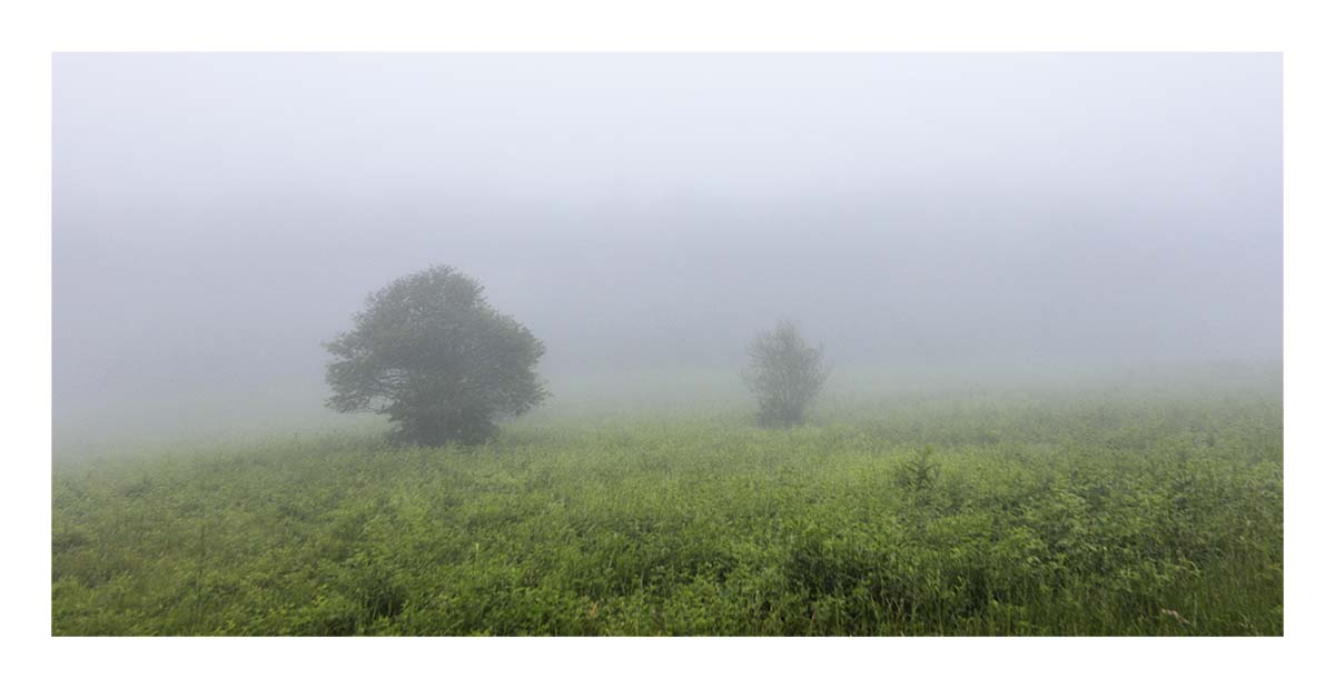 Shenandoah NP